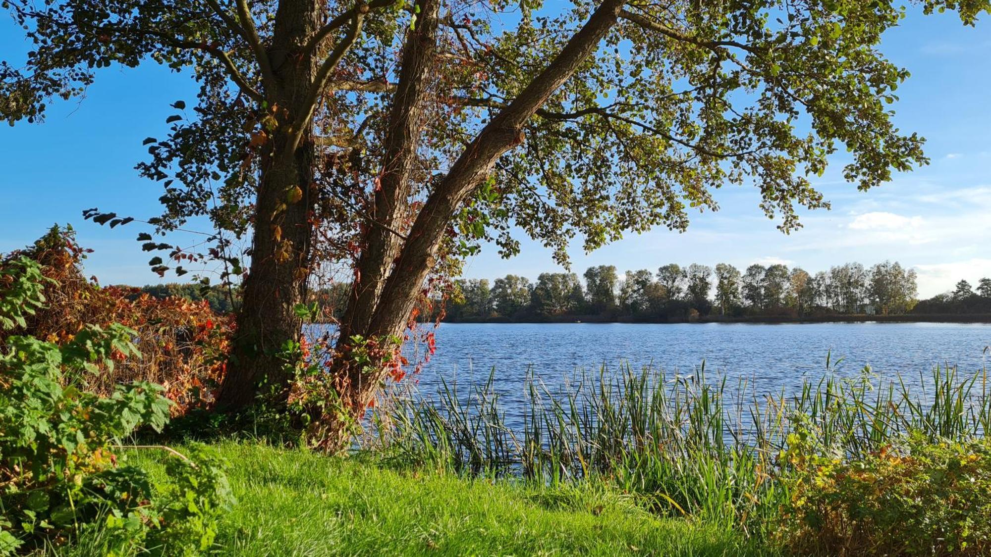 Hotel & Restaurant Haus Am See Locknitz Экстерьер фото